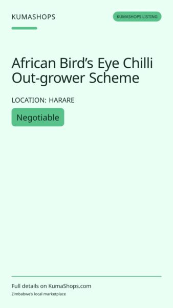 African Bird’s Eye Chilli Out-grower Scheme in Harare