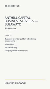Anthill Capital Business Services — Bulawayo
