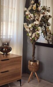 Beautiful plant including basket