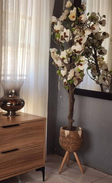 Beautiful plant including basket in Hatfield