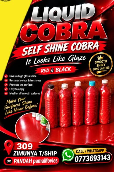 Cobra Delivery Services in Harare