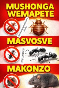 Cockroach Pest Control Services