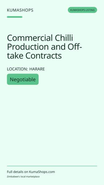Commercial Chilli Production and Off-take Contracts in Harare