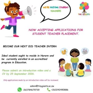 Ecd Teacher Intern