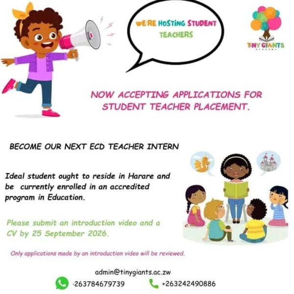 Ecd Teacher Intern in Harare