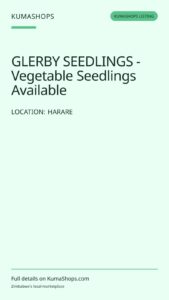 GLERBY SEEDLINGS - Vegetable Seedlings Available