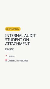 Internal Audit Student on Attachment — Harare