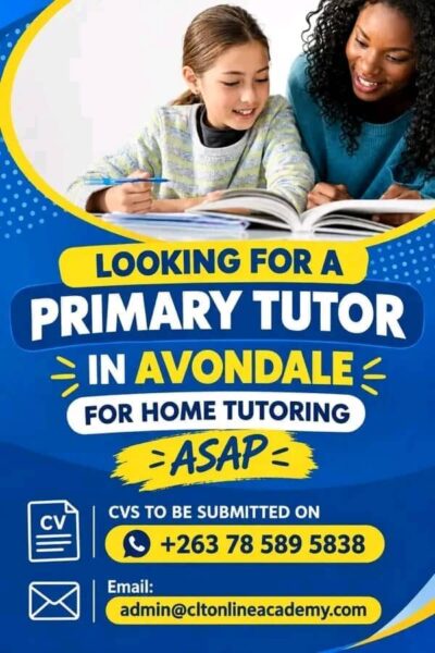 Primary School Tutor in Harare