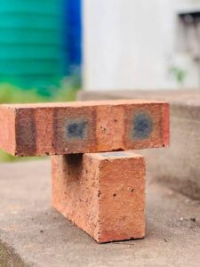 Red Common Bricks