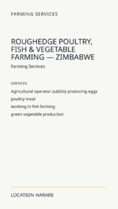 RoughEdge Poultry, Fish & Vegetable Farming — Zimbabwe