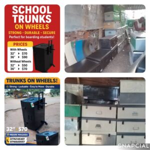 SCHOOL TRUNKS