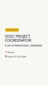 SDDC Project Coordinator — Harare