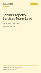 Senior Property Services Team Lead