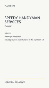 Speedy Handyman Services