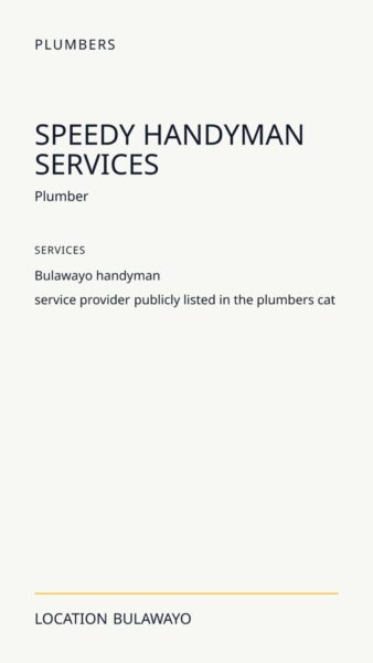 Speedy Handyman Services in Bulawayo
