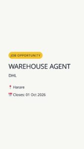 Warehouse Agent — Harare