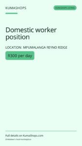 Domestic worker position