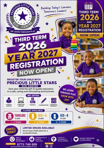 Precious Little Stars ECD Centre Enrollment in Harare