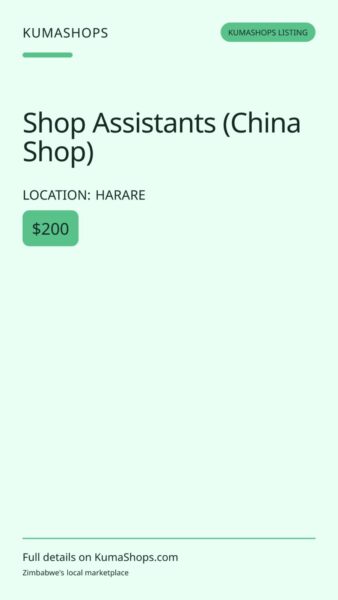 Shop Assistants (China Shop) in Harare