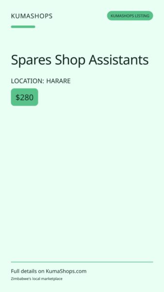 Spares Shop Assistants in Harare