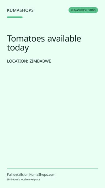 Tomatoes available today in Zimbabwe
