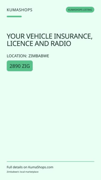 YOUR VEHICLE INSURANCE, LICENCE AND RADIO in Zimbabwe
